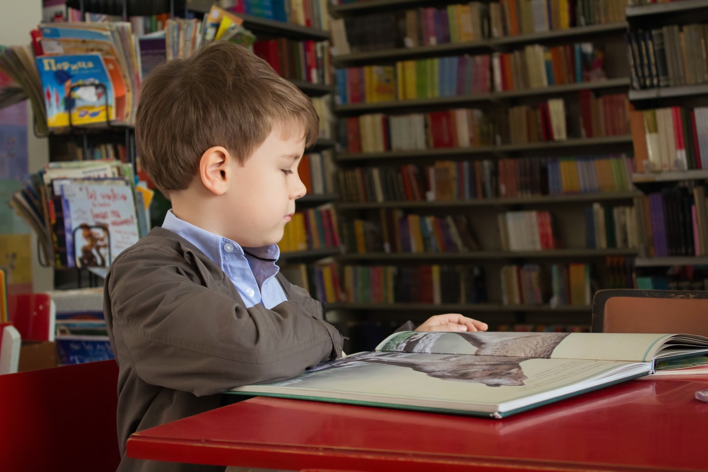 A young boy reading a large book at a red table in a library.